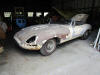 Jaguar photo